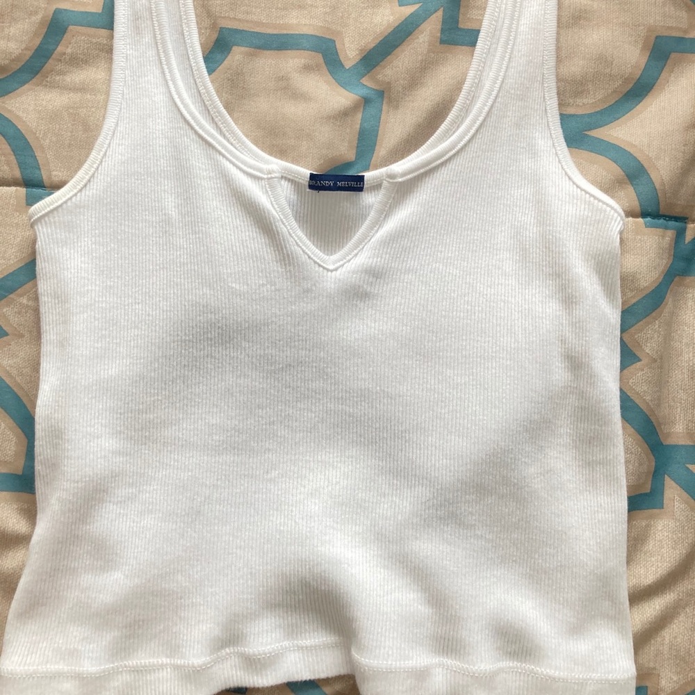 Brandy Melville Crop Top